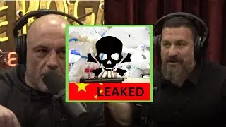 Joe Rogan - Andrew Huberman Covid Lab Leak Theory
