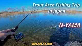 N-YAMA Feb.19 2025 / Trout Area Fishing Trip in Japan