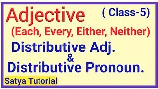 Distributive Adjective & Distributive Pronoun (Each, Every, Either, Neither)