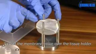 Brookfield CT3Instructional: Video Mucoadhesion