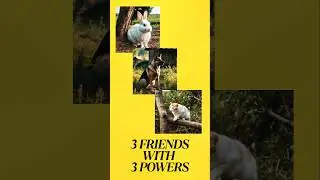 3 Friends with 3 Powers  #animals #rabbit #cat #viralshorts #shorts @mrindianhackershorts