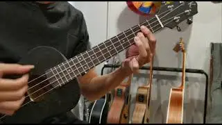 Kayser Ukulele Sound Test (Concert 23'' and Tenor 26