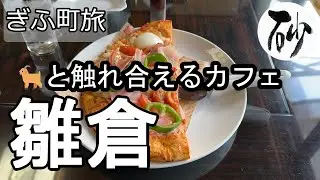 【ナイスなシニアのぎふ町旅＠雛倉】岐阜県岐阜市（2025年05月08日）