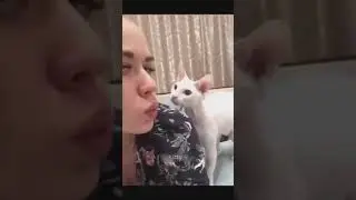 funny time&nbsp; #show #funny_videos #fun #funny #شادی ##funnyvideo #سرگرمی #cat #cutanimals #catlovers