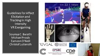 Guidelines for Affect Elicitation and Tracking in High Intensity VR Exergaming