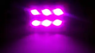 LEDbulbz : 