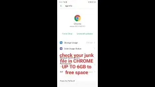 Check google chrome cache and you will know freespace used GB