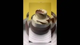 choco mirror glazing cake 🍰🍰 #shorts