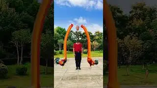 One person fights two chickens #Special effects production mobile phone shooting transformation