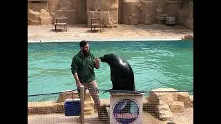ELCHE SPAIN | RIO SAFARI: AN ADVENTUROUS ZOO EXPERIENCE 🐆🦌🐐