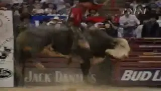 Dillinger bucks Justin McBride - 99 PBR Finals