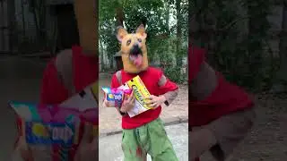 Two poor dogs #shorts #tiktok #dog #viral #trending