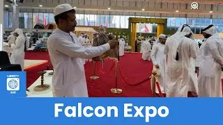 Doha Hosts 9th International Hunting and Falcons Exhibition