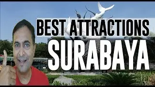 Best Attractions and Places to See in Surabaya, Indonesia