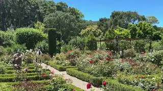 Filoli | Woodside, CA | 6-18-2025 #5 of 7