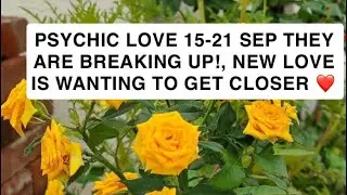 PSYCHIC LOVE 15-21 SEP THEY ARE BREAKING UP!, NEW LOVE IS WANTING TO GET CLOSER ❤️ 