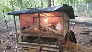 සරුබිම අපි ගොවිතැන වගේම සත්ව පාලනයත් දැන් පටන්ගෙන තියෙන්නේ 🐥🐓🦃 