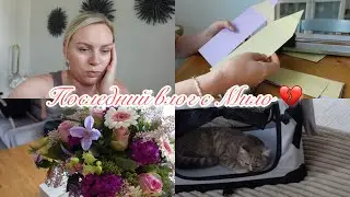 VLOG🇩🇪:К СОЖАЛЕНИЮ МИЛО НЕ СТАЛО😢🪽