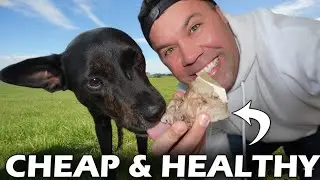 The Best Affordable Dog Bones (Healthier, Tastier & Cheaper!)