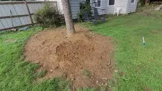 Outdoor Enrichment Ideas