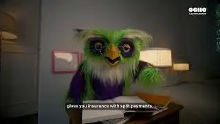 OCHO Car Insurance - Ocho the Owl - Finance 101 - 07