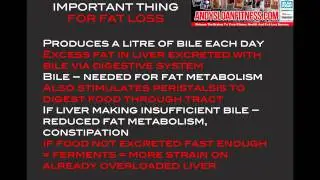 Andy Sloan Fitness | Liver and Fat Loss