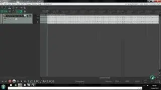 how to use Tracks for Dub