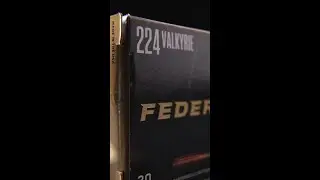224 Valkyrie Gold Medal Berger