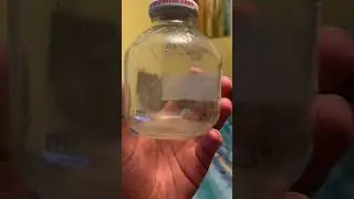 I&rsquo;ve caught a fly in my little glass jar