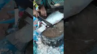 big fish cleaning video #cuttingvideo #fish #fishcutting #shorts