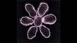 James Live @ Dolce Vita Festival, Lausanne, 1991-06-22 [Audio] [FM]