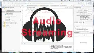 Xcode: Dynamic Audio Streaming