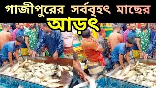 গাজীপুরের সর্ববৃহৎ মাছের আড়ৎ Traditional fish bazaar in Bangladesh.