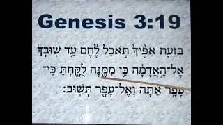 SLOW READING OF GENESIS 3:19 IN THE HEBREW LANGUAGE
