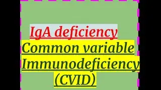 IgA & Common variable Immunodeficiency (CVID)