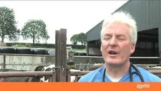 Rispoval Intranasal Ireland