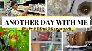 Day In My Life | අලුත් අවුරුද්දට කලින් තව වැඩ ටිකක් කරමු  ✨️