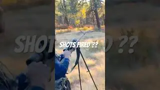 #keepthefaithhunting #nm #hunting #mountains #elkhunting #elk #shotsfired #bang #wcw #wow #nice #ktf