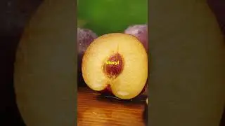 Fruit Seeds Dangers When Consumed !