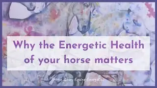 Why the energetic health of your horse matters