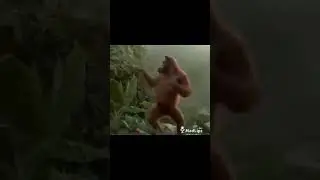 Jahongir Otajonov malla malla mallamoʻ jingalamu jingala 🔥