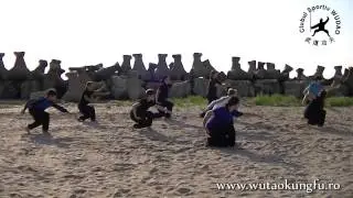 18 forme Wudang Tai Yi @ WuDao