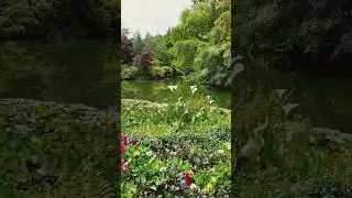 Stunning Garden Oasis with Vibrant Flowers. #beautifulcanada #beautifulgarden #relaxingvideo #nature