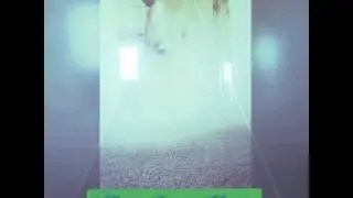 Steam cleaning,  Idaho Falls carpet cleaning