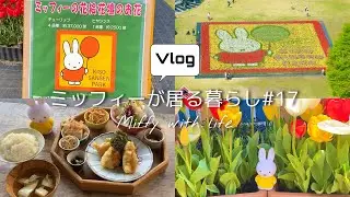 ［vlog］ミッフィーが居る暮らし#17 / 木曽三川公園のミッフィー花壇を見に来た / 古民家改装食堂『上木食堂』でランチ