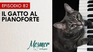 Il gatto al pianoforte - Mesmer in pillole 082
