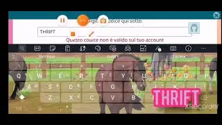 NEW CODES OF STAR STABLE!