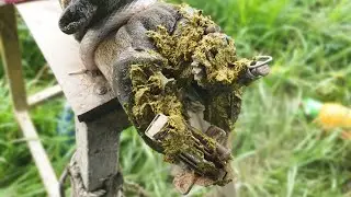 Ep150-Animal Health Care How to Properly Trim Hooves