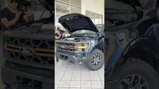 Ford F-150 Tremor, casi lo mismo que la Raptor pero m&aacute;s barato🦖🔥⛰️ #ford #fordf150 #autos #cars