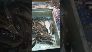 #fish #fishcurry #fishcutting #fish_cutting_expert #shots #shorts
